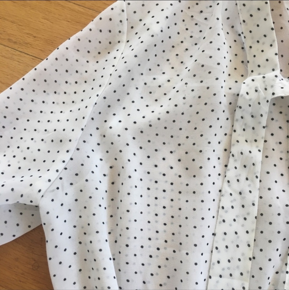 Sheer Button Up - Picture 4 of 4